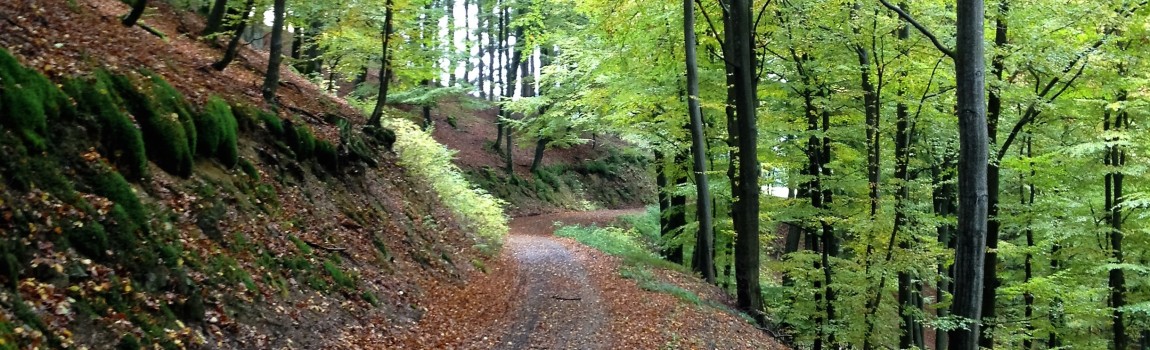 Wandelen in Westfeld – tussen Winterberg en Schmallenberg
