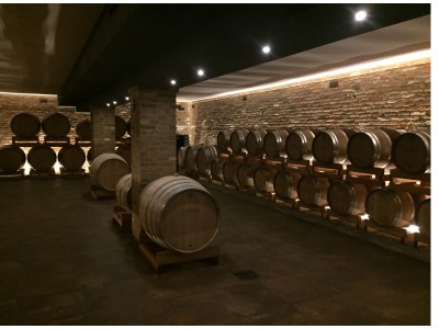 Exploring Italian Wine Culture: From Vineyard to Tasting Room