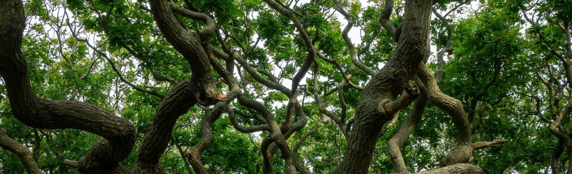 Fietsen en wandelen rondom Vrouwenpolder tijdens uw vakantie in Zeeland
