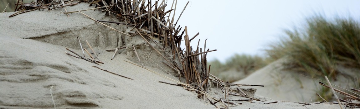 Gezinsvakantie in Zeeland: inspiratie voor kinderen en ouders