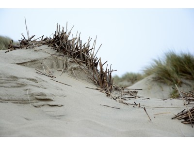 Gezinsvakantie in Zeeland: inspiratie voor kinderen en ouders