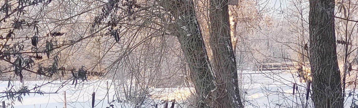 B&B Tusken Wad en Wâld vernieuwd!