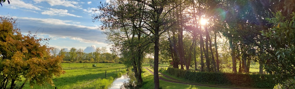 Kamer vrij koningsweekend!
