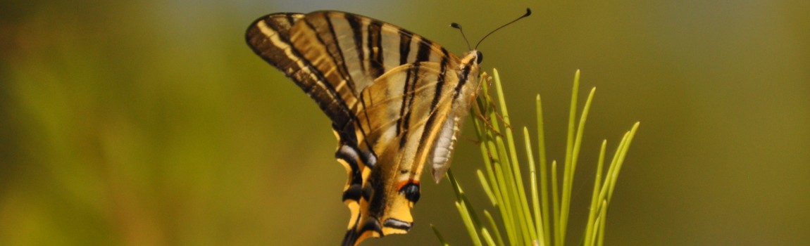 Day trips - Nature and Sports