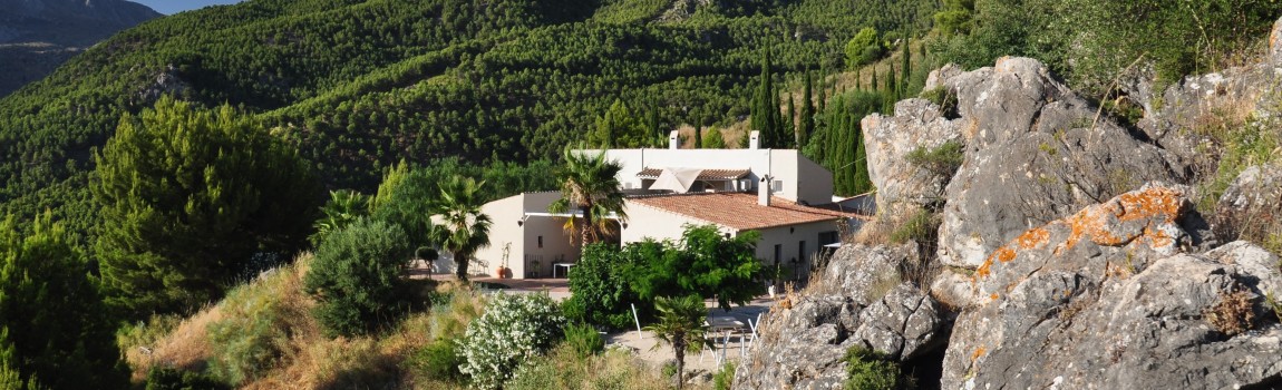 Want to rent the entire house?