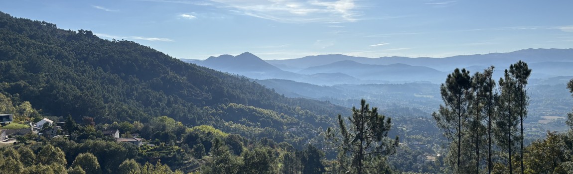 Van 'ik vertrek' naar 'ik blijf'