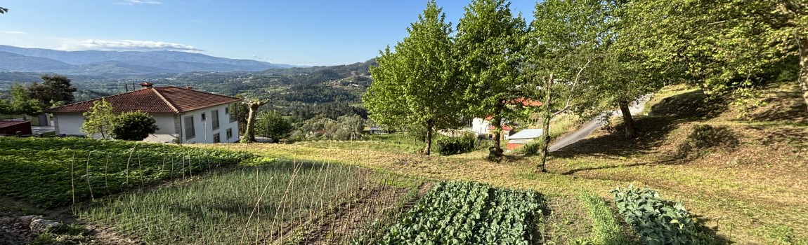 We vieren het jaar 2025