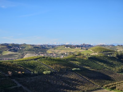 Villa Fonte ha avviato una collaborazione con Cascina del Pozzo