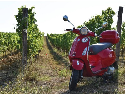 Villa Fonte inizierà la sua collaborazione con Kalitumba Travel nel 2025.
