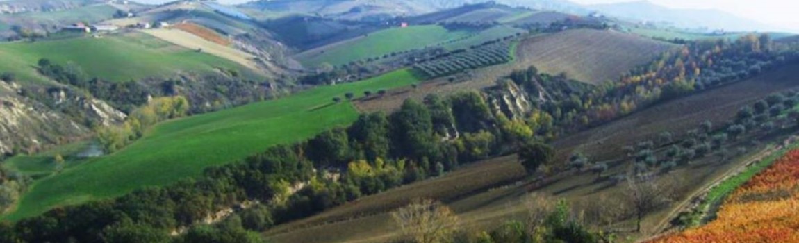 Welche Weine kommen aus den Abruzzen, Italien? Gute Weingüter
