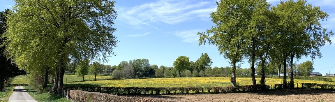 wandelknooppunt zoektochten
