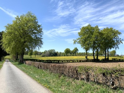 wandelknooppunt zoektochten