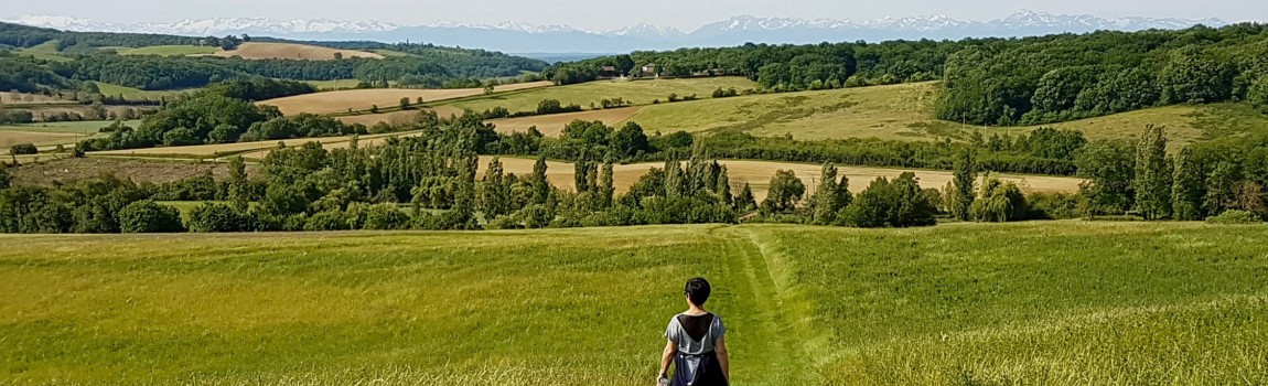 Wandelen en fietsen