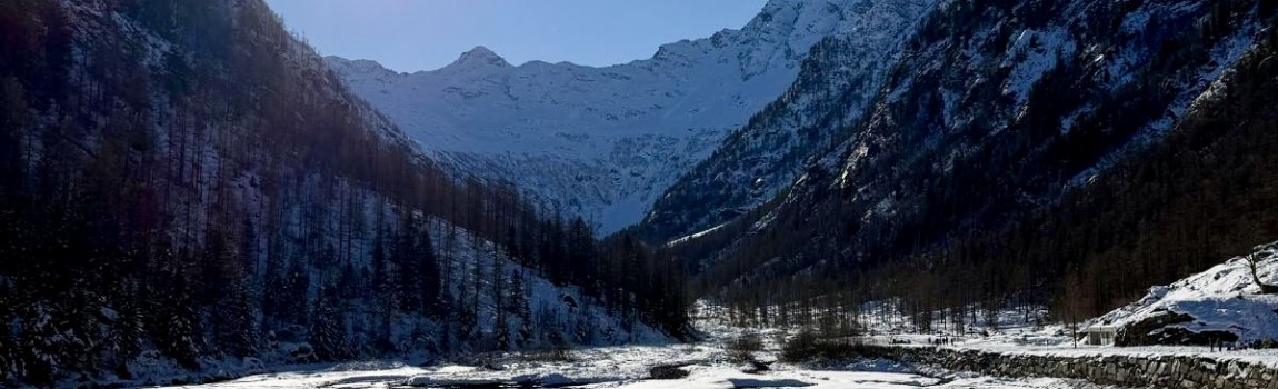 ✨ Beste wensen voor het nieuwe jaar vanuit (Alto) Piemonte ✨