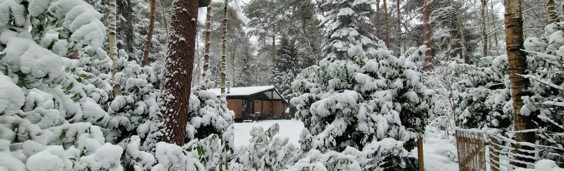 Een winterse dag in Bosbungalow Oosterhaard