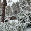 Een winterse dag in Bosbungalow Oosterhaard