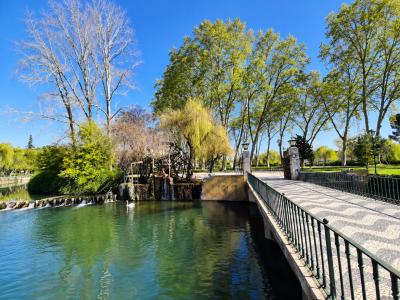 Guidebook: local tips and ideas for the best stay in Tomar