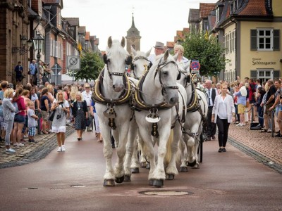 Annual and cattle market in Bad Arolsen