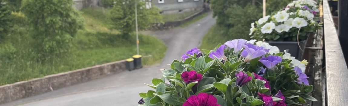 Été, invités et nouveaux espaces au Waldhof