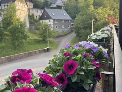 Sommer, Gäste und neue Räume im Waldhof