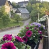 Sommer, Gäste und neue Räume im Waldhof