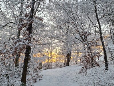Het wintersportseizoen zit er bijna op..