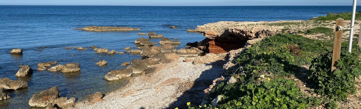 Practical information