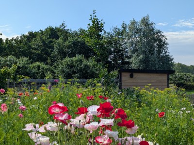 Zomer!