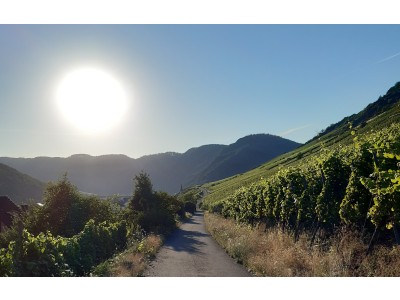 Wanderkarte zum download und partnerlinks