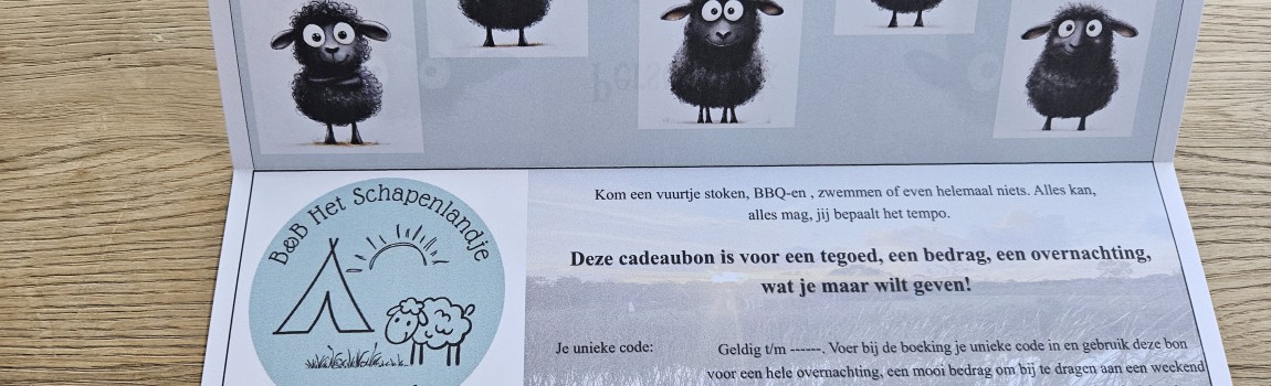 Zoek je een mooi cadeau voor iemand?