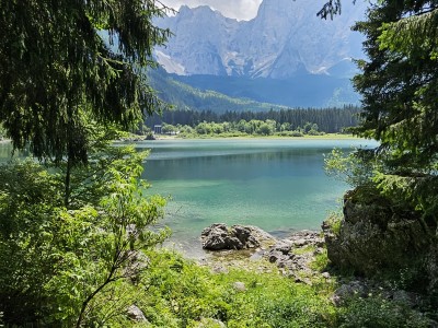 Dalla lavagna ai prati alpini: la nostra emigrazione in Austria!