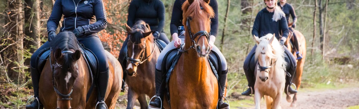 Omgeving & Activiteiten