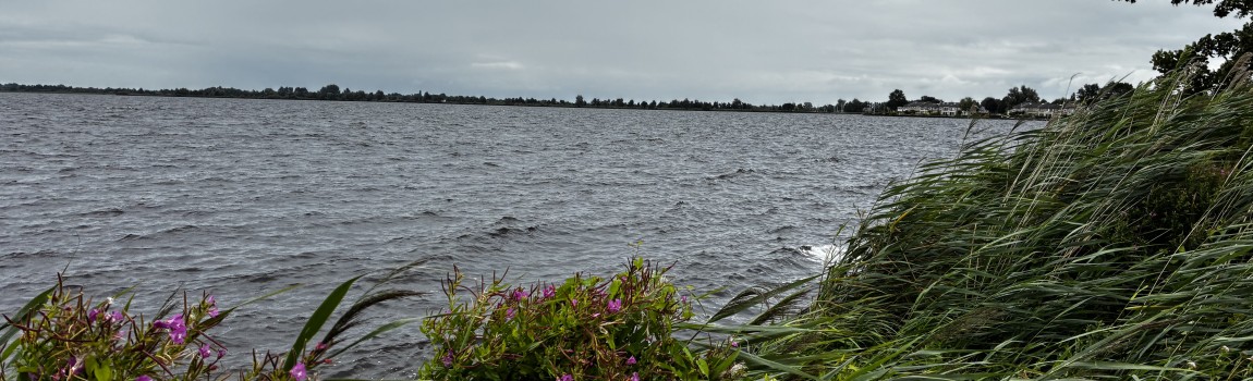 Wellness in de natuur: jouw herfstritueel met ontspanning