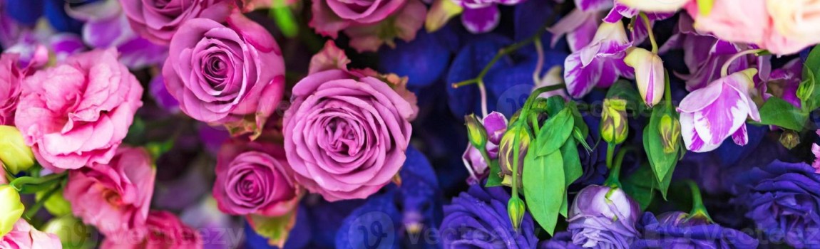 Wilt u een romantisch weekendje/week weg laat u dan door ons verwennen