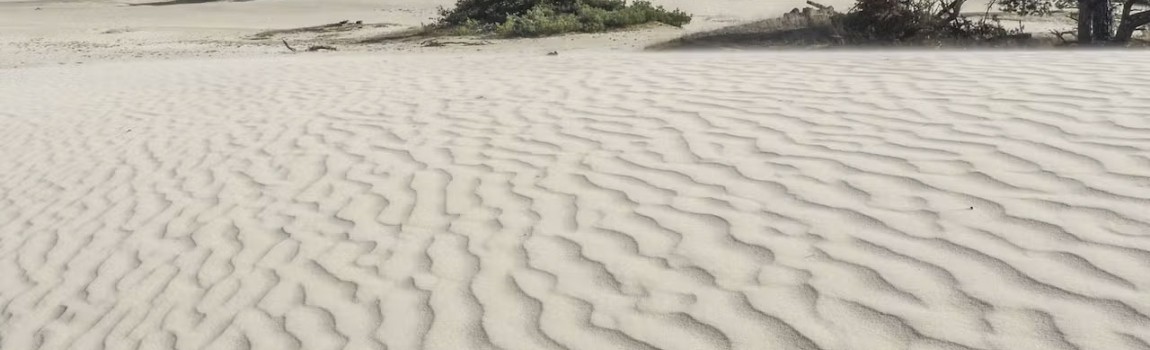 Bezienswaardigheden en handige links