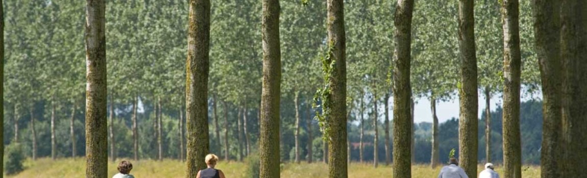 fietsen in de Kempen