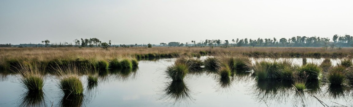 Wandelen in de kempen