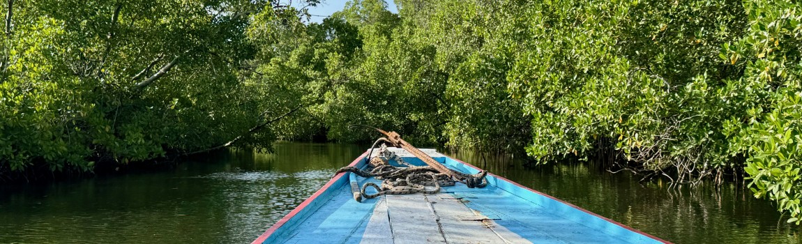 Excursies en Ontdekkingen