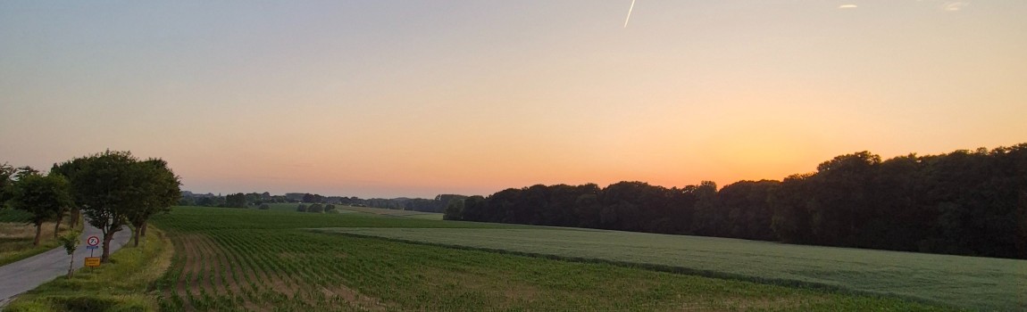 Wandelen