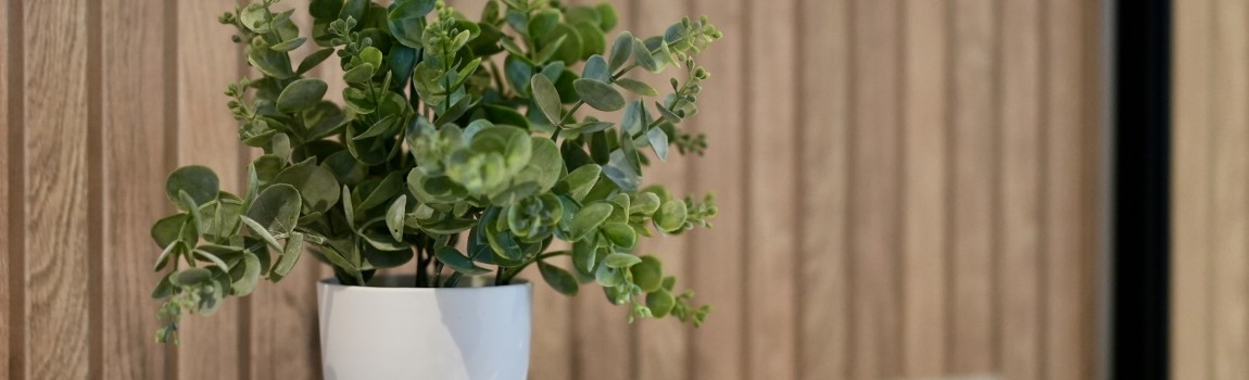 Terms en Conditions Zen Kitchen & Boutique Hotel