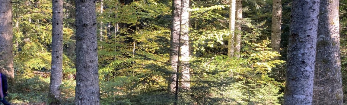 Retraites (Nederlandstalig)