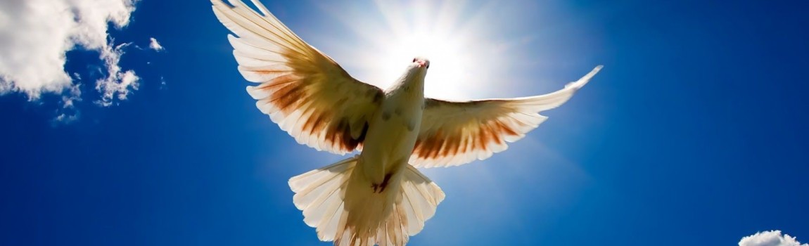 Table d'hotes op Pinksterzondag (24 mei) 6 gangen (supplement)