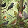 Oktober 2026: Vogels in de Bresse Bourguinonne (Zuid Bourgogne)