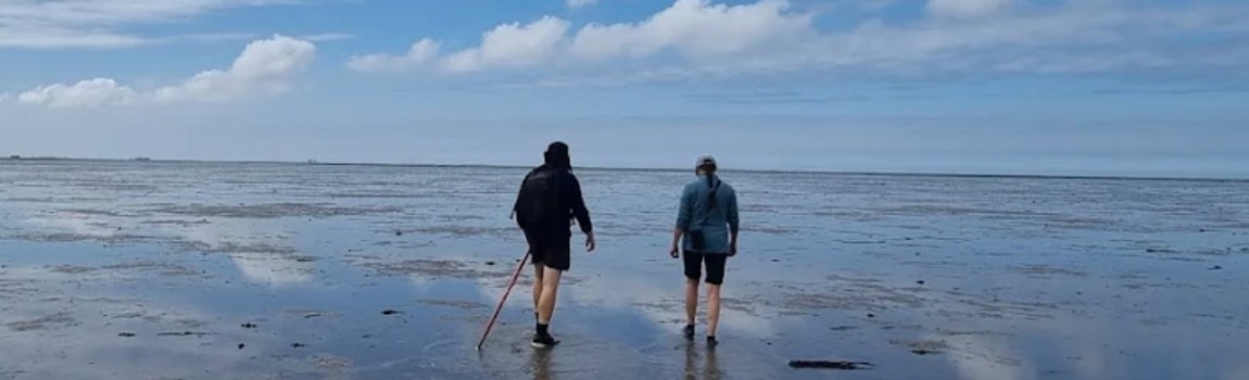 Wadlopen? In Moddergat dus!