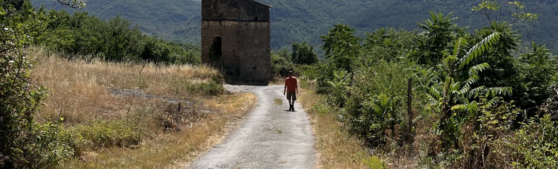 4 x the most beautiful walking routes in the area