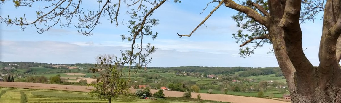 1. Rond wandeling rode paaltjes route Elzetterbos 5,26 km.