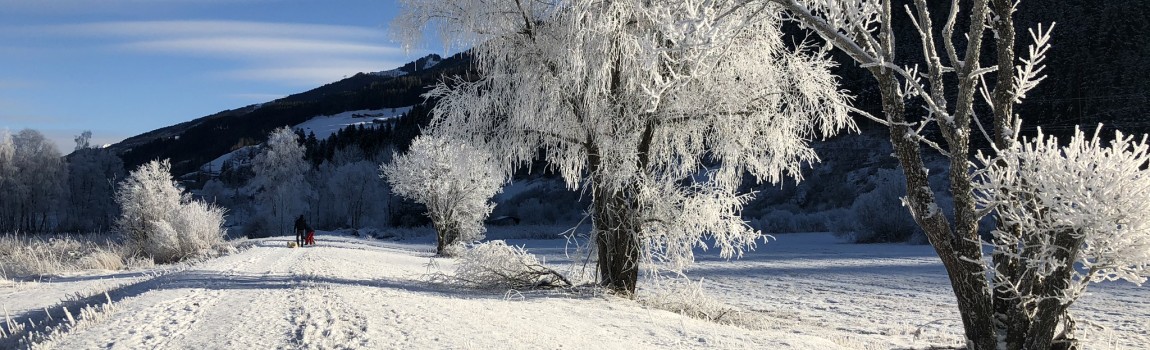 Winter