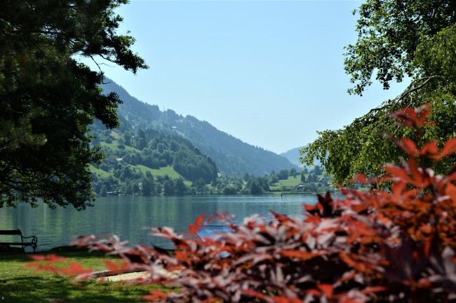 Pension Almhof 