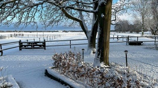 Suite op De Wilpse Klei 