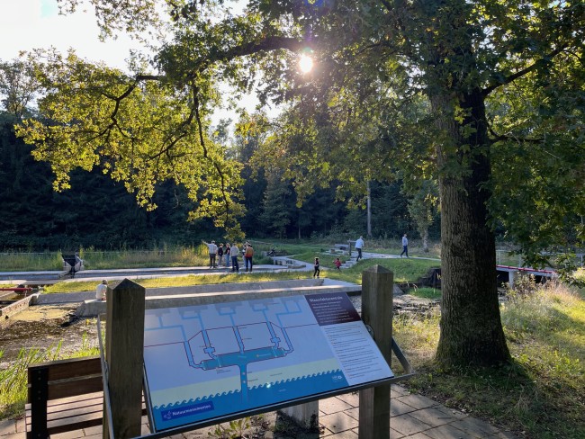 Bij Het Bos 